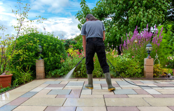Best Sidewalk and Walkway Cleaning  in Pleasanton, CA